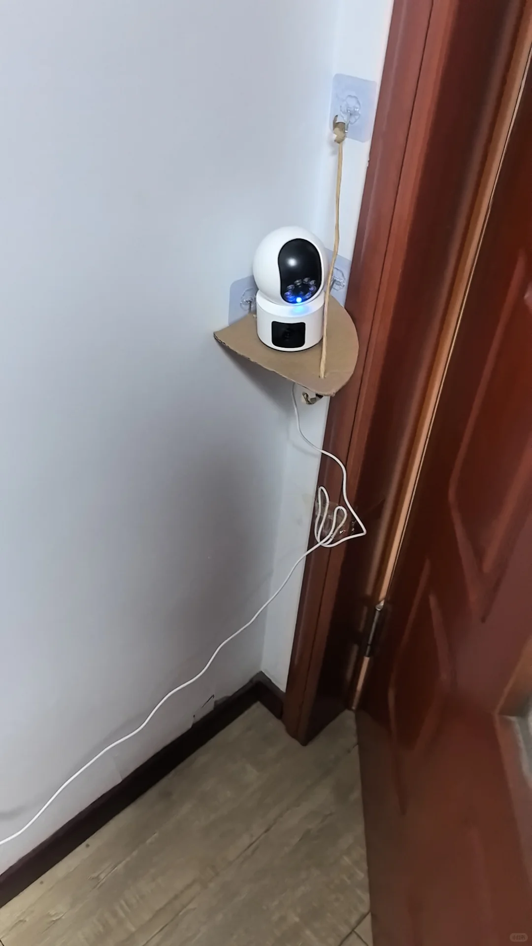 猫房必备监控器