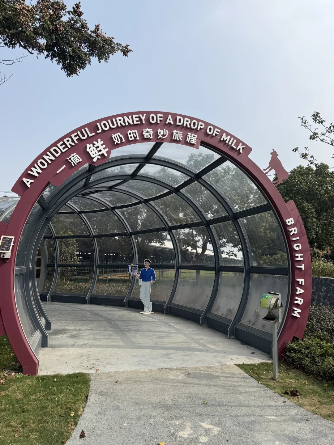 金山光明牧场｜上海周末免费遛娃