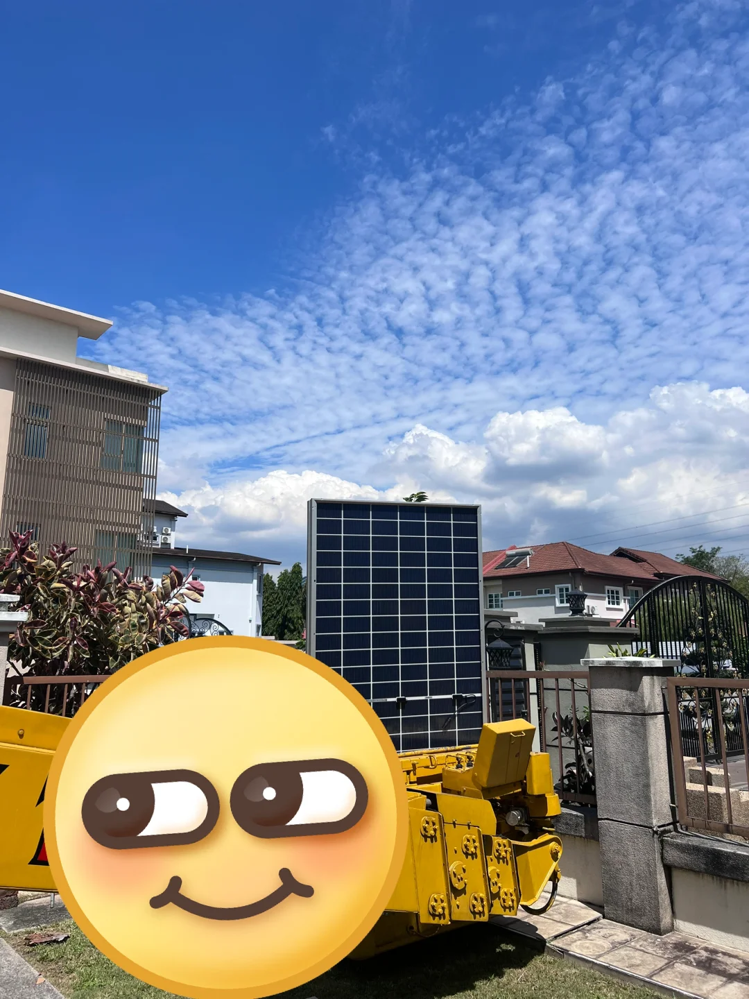 真的后悔当初……