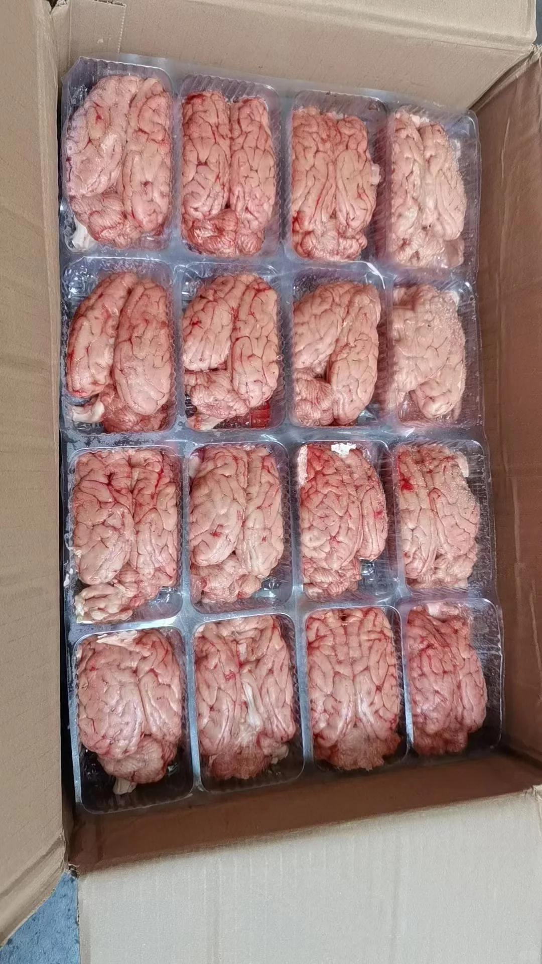 冻货厂家批发，品种齐全，