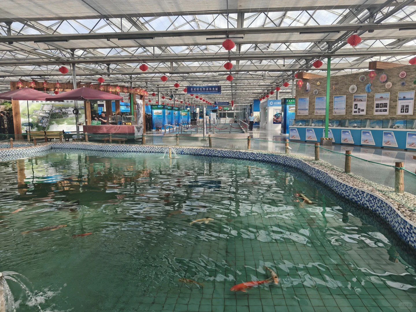 ? 探索吉林农业大学的“鱼”乐世界！