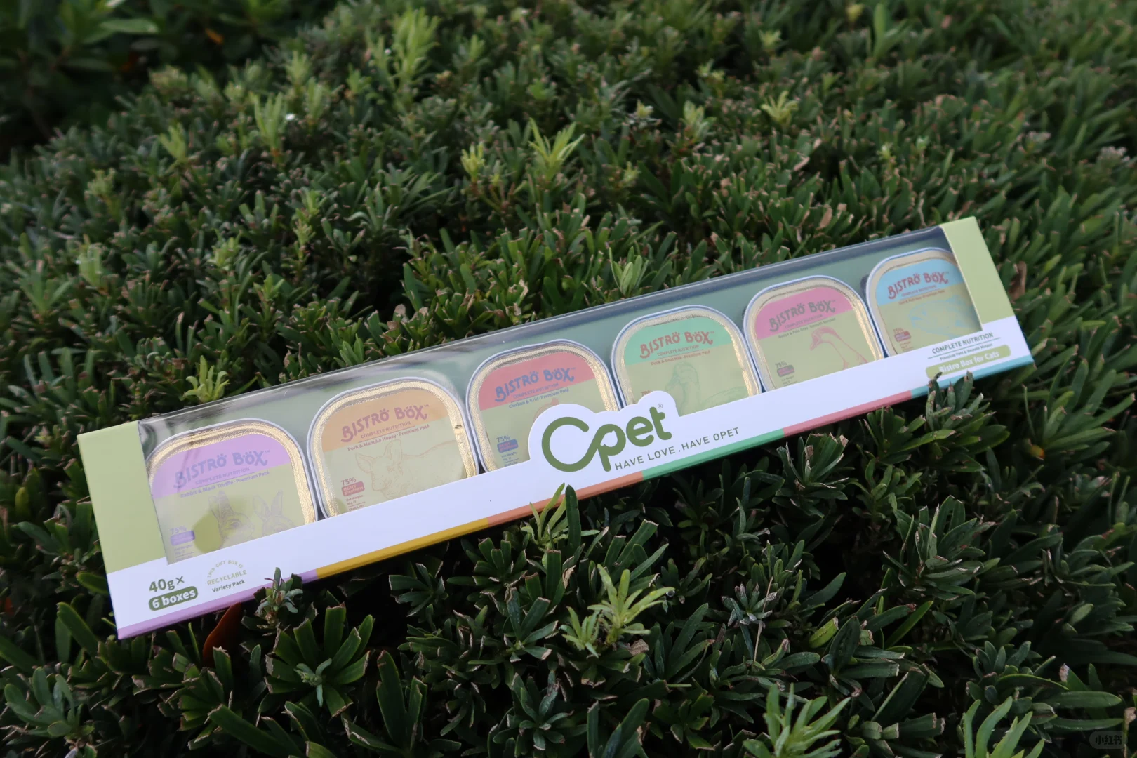 奥兰多宠物展最大感受