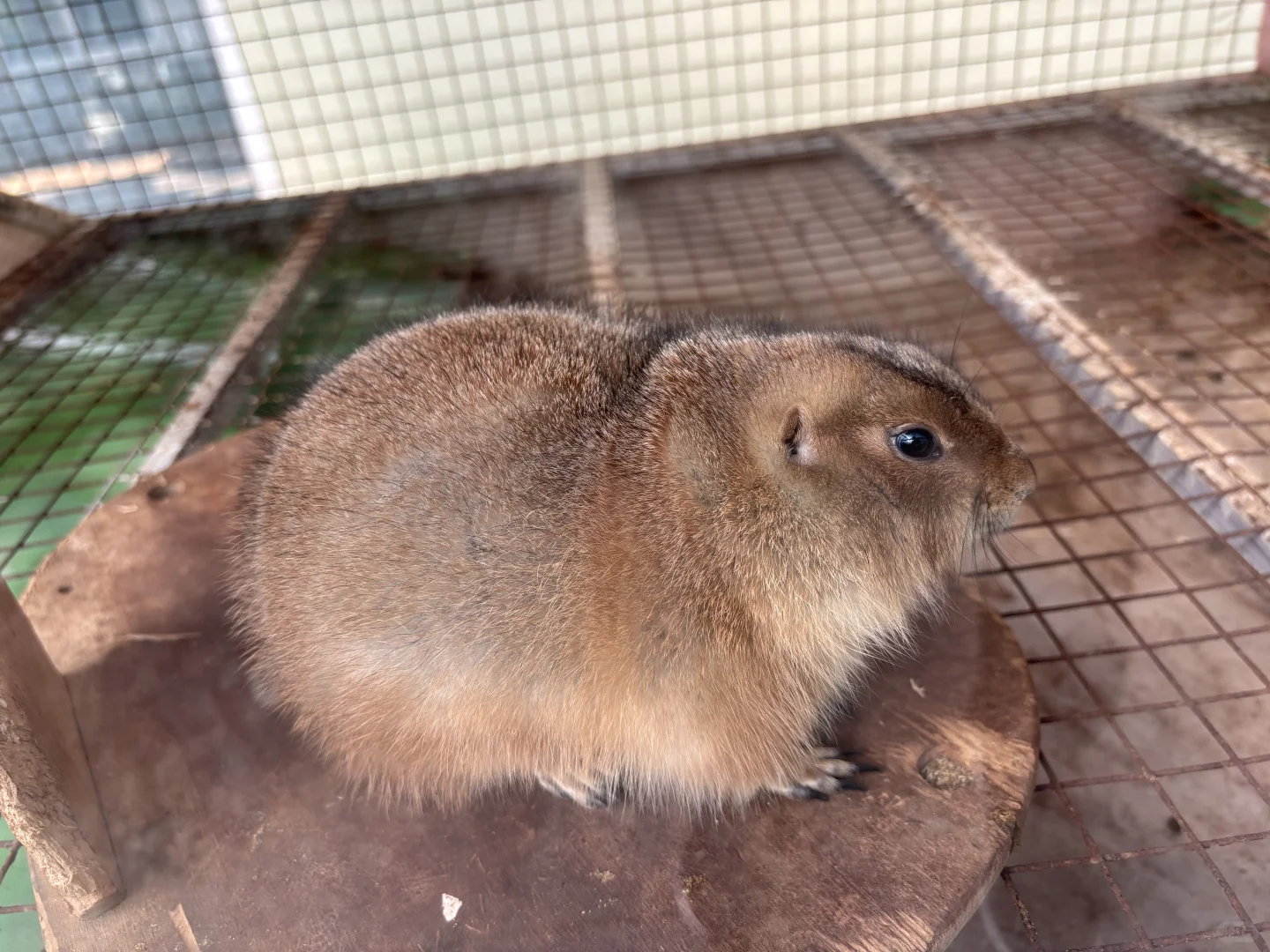 北京博物馆分享第二十九站—北京地热博览馆！