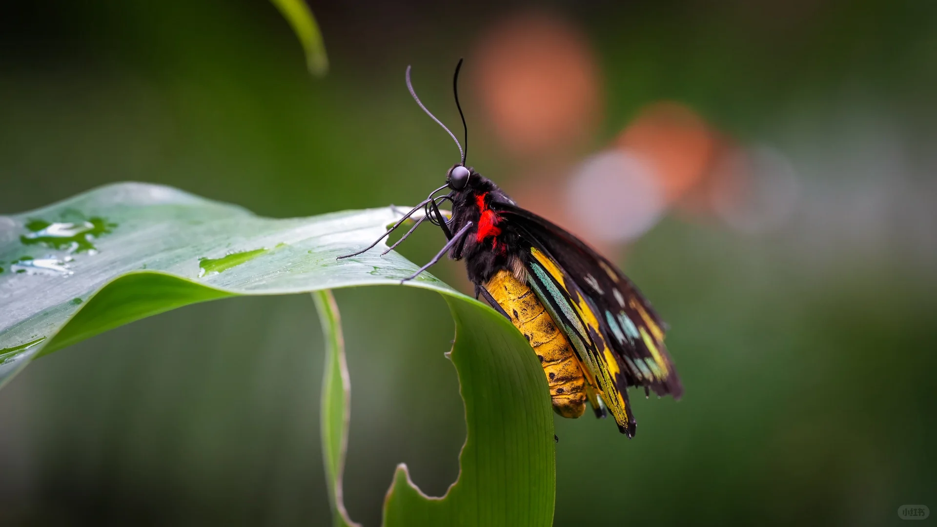 我用索尼a6700拍的照片