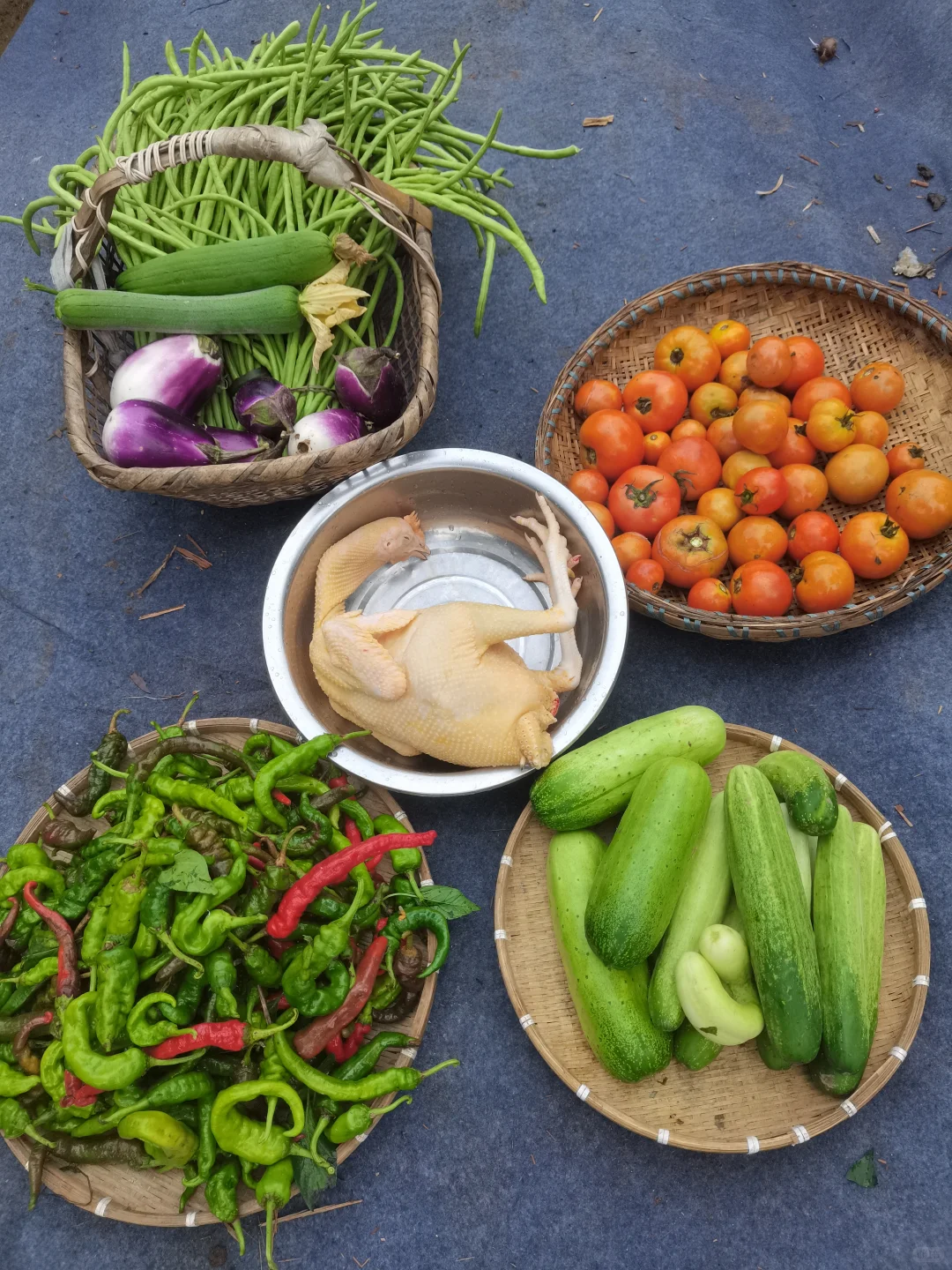 家里自种的小菜，谁会愿意看啊？?