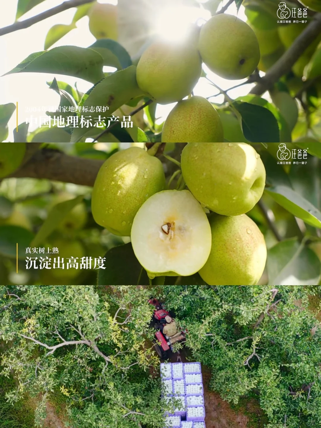 这下必须得承认国产粮确实越做越好了