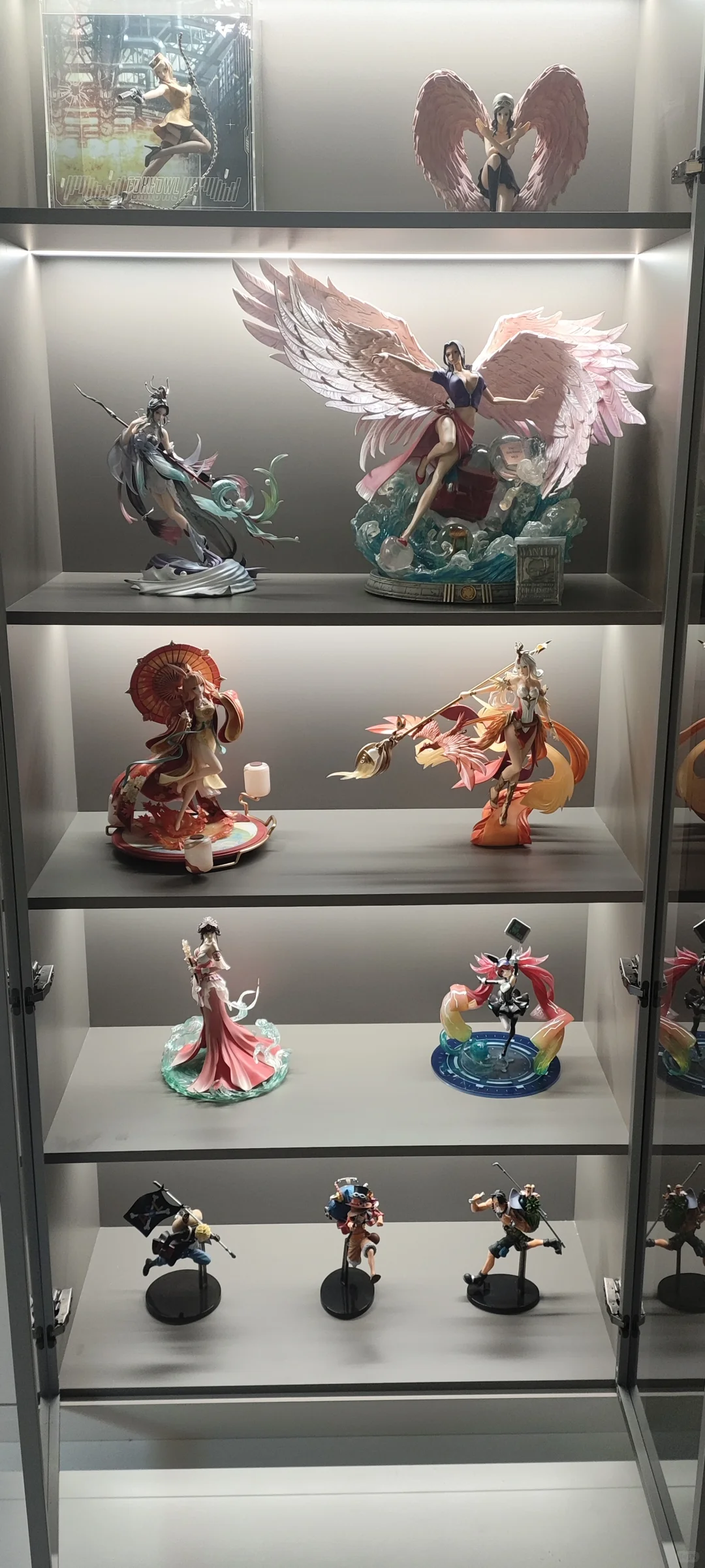 22岁圆梦手办一面墙！