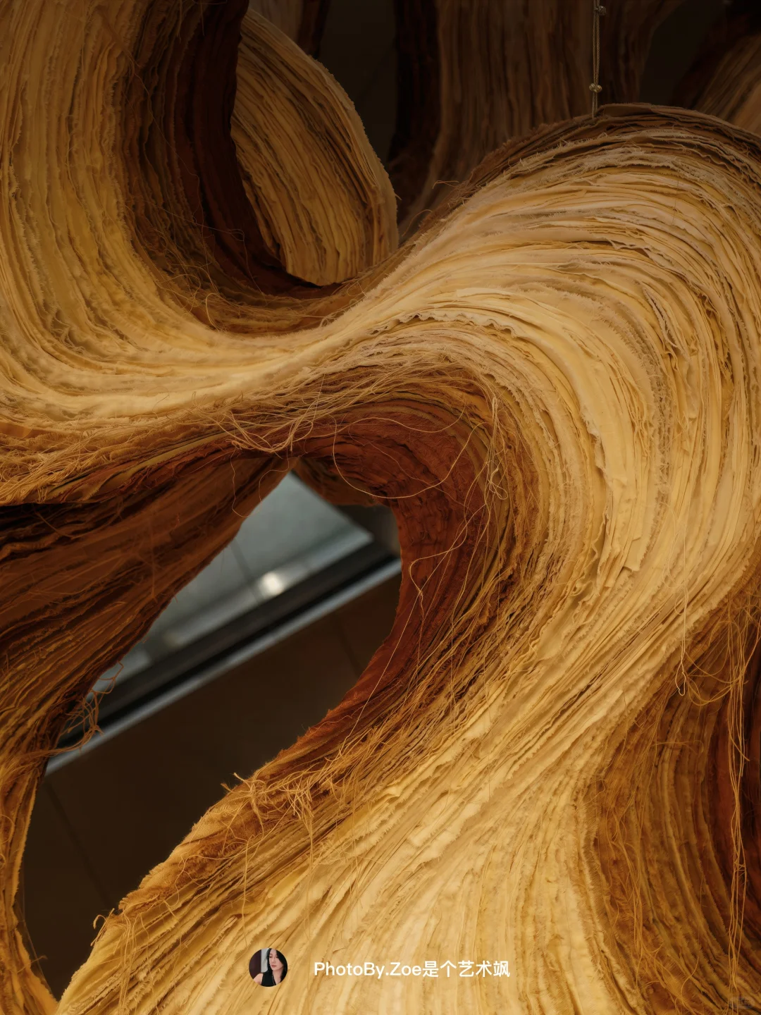 ?被惊艳到挪不开眼的艺术展❗️