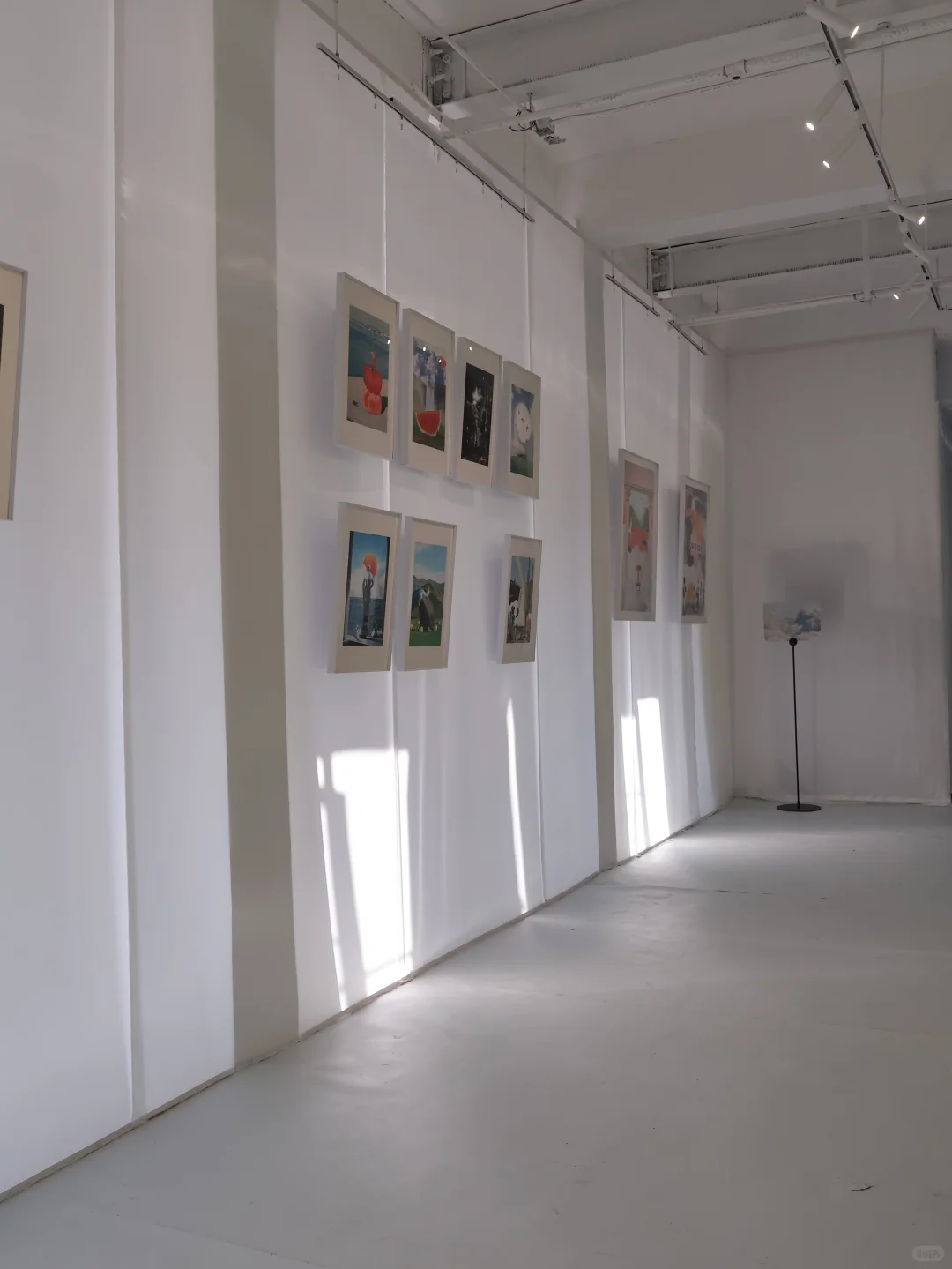 杭州新展｜番茄你个tomato ???️