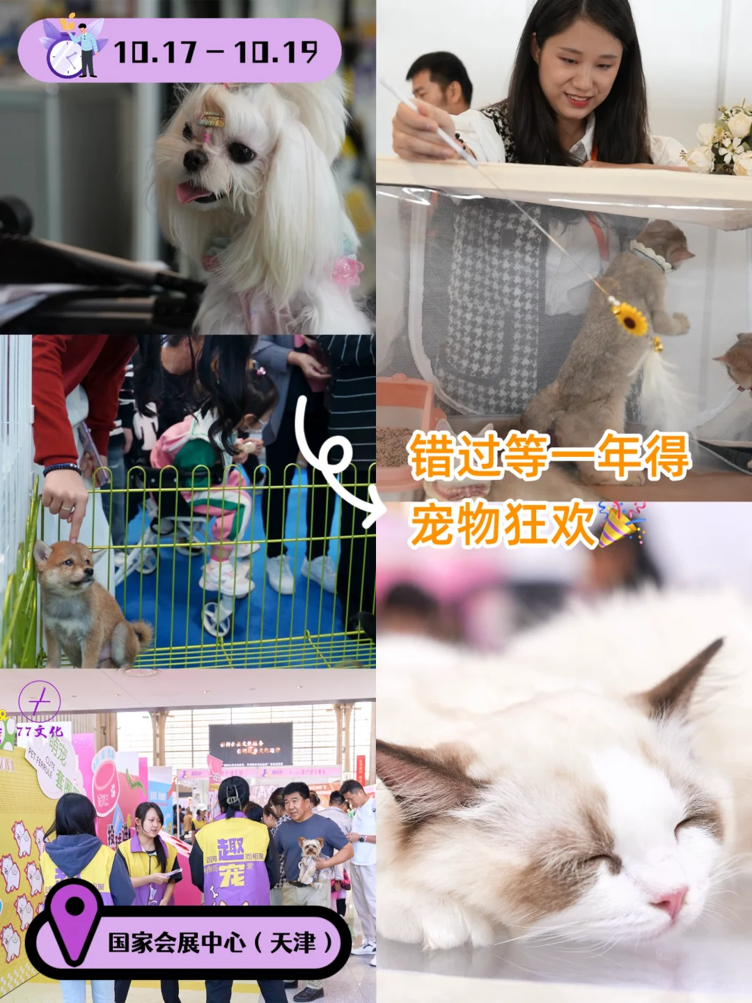 第三届趣宠会定档！天津10.17带毛娃冲