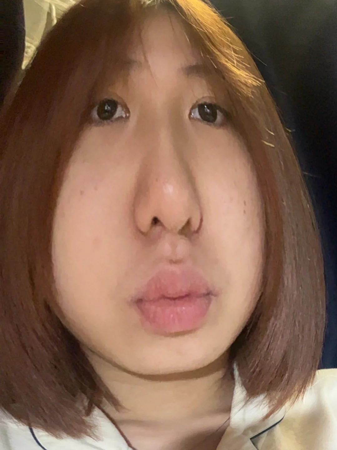 兽医系?牛场实践我会假装自己是个chillguy