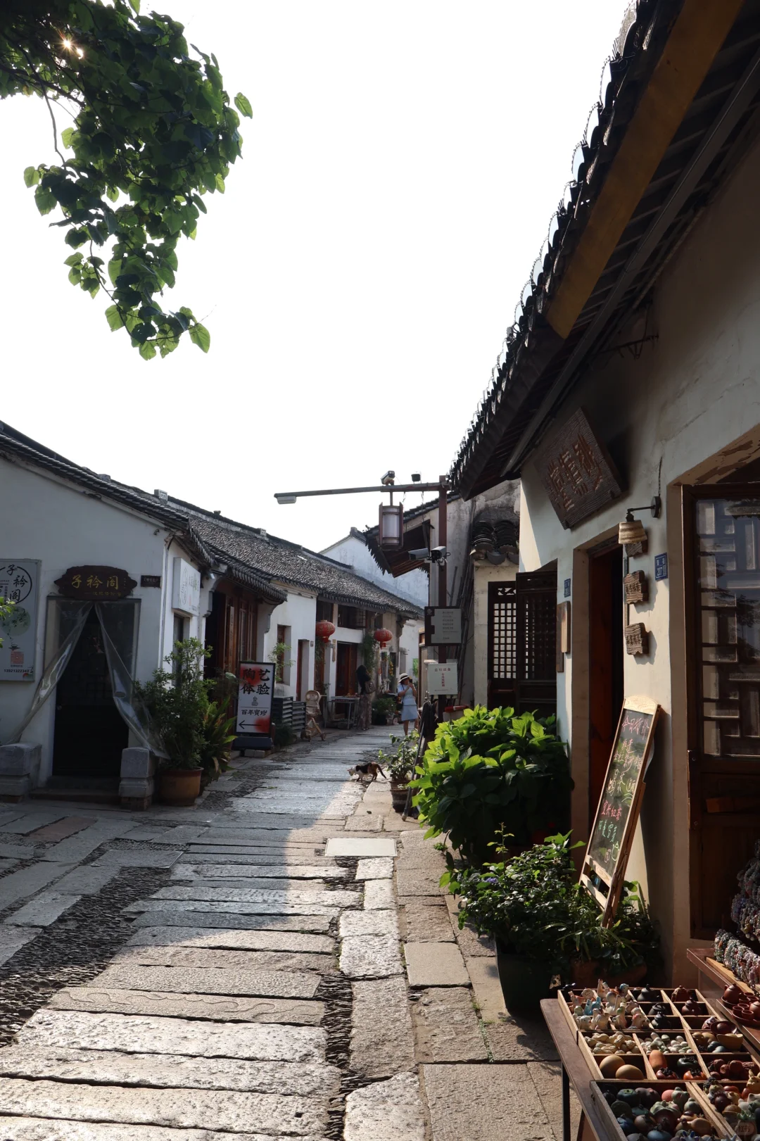 佳能r50狗都不买