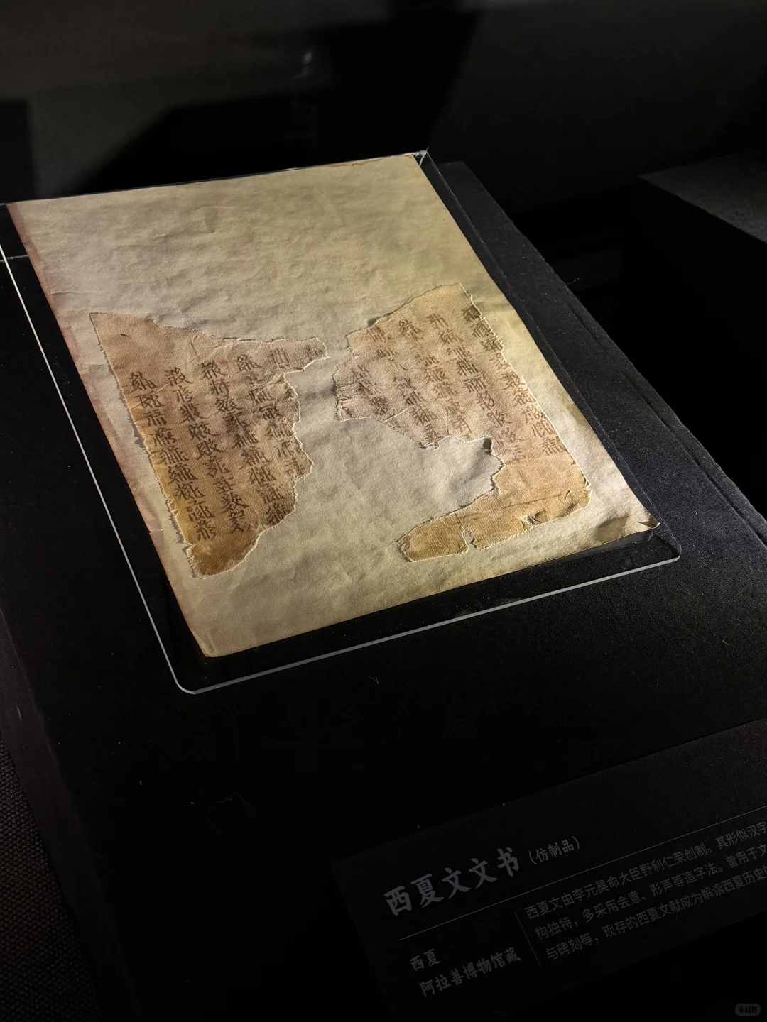 巴丹吉林沙漠里的沉睡的西夏 |黑水城遗址