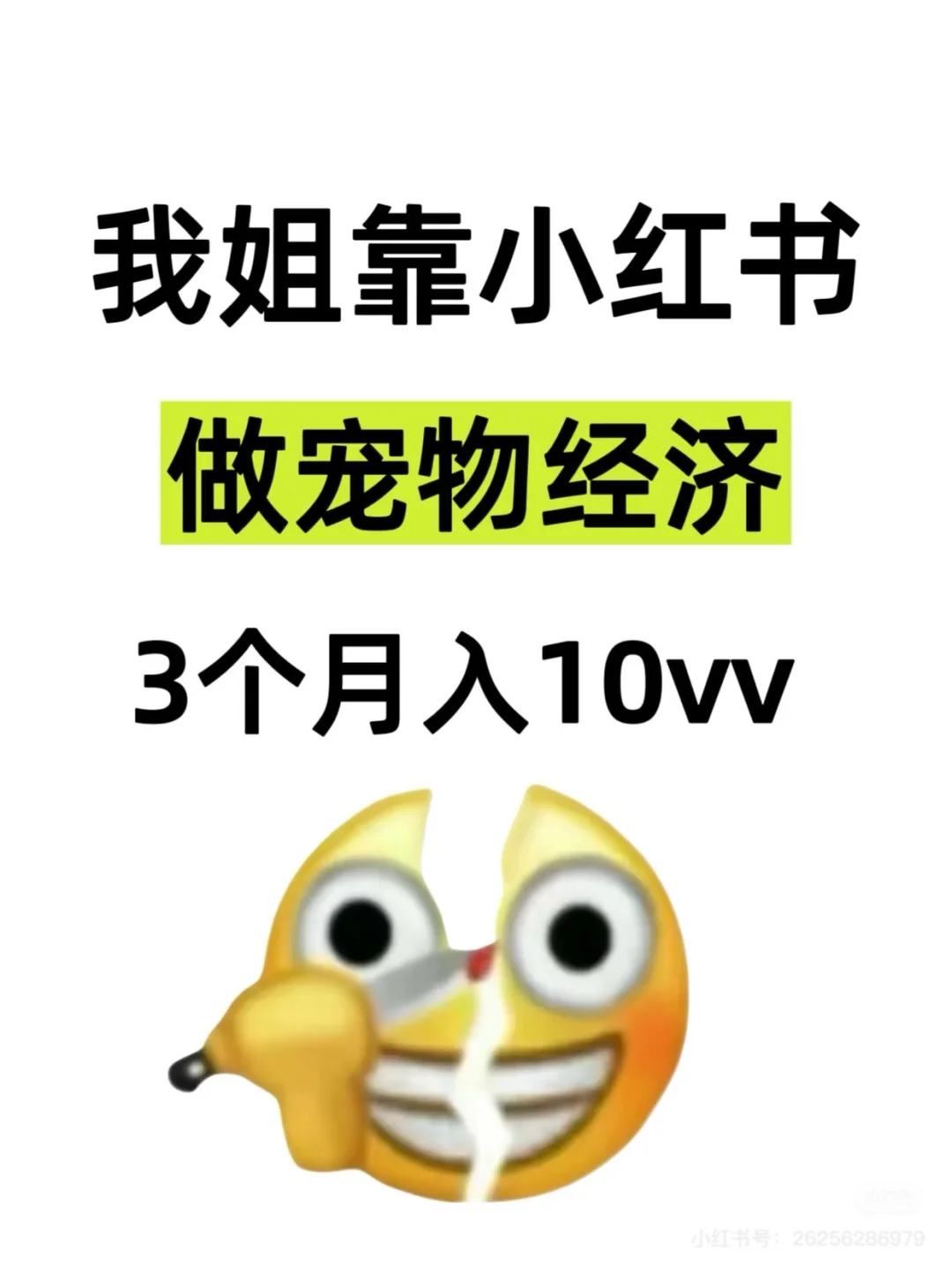 原来小红书真的能做宠物经济