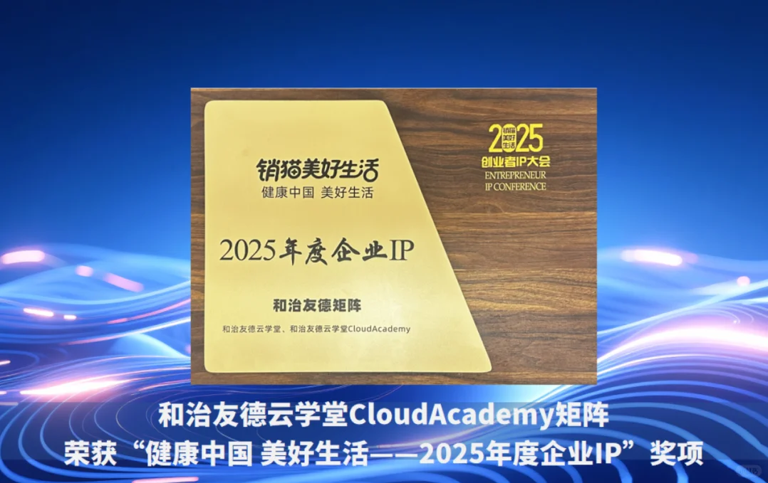 和治友德荣获“2025年度企业IP”奖项