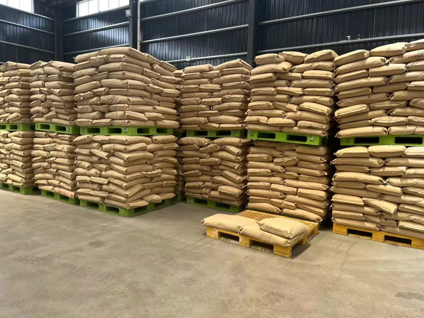 初用聚丙烯酰胺试剂总出错?这5大要点助你