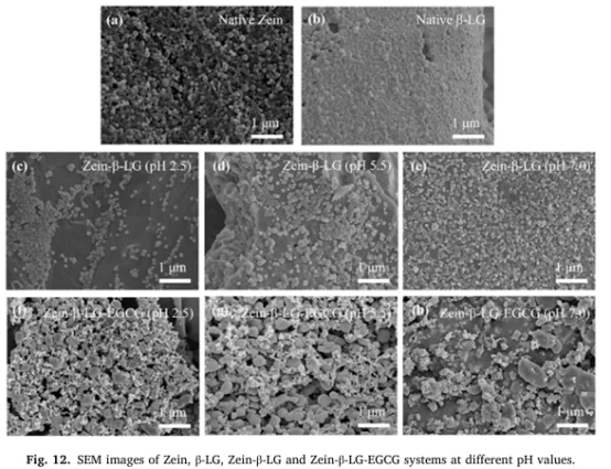 今天分享的是一篇Food Hydrocolloids.
