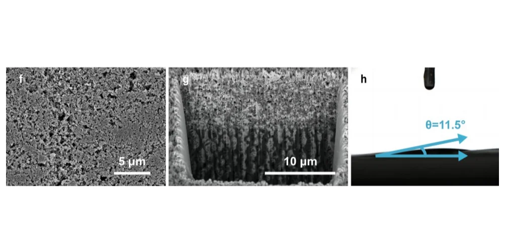 AM：液晶聚合物调控实现高性能锂硫电池！