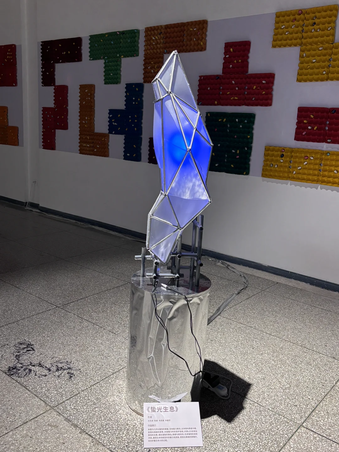 破茧而生，羽化而美｜武汉华农「蝶变」艺术展