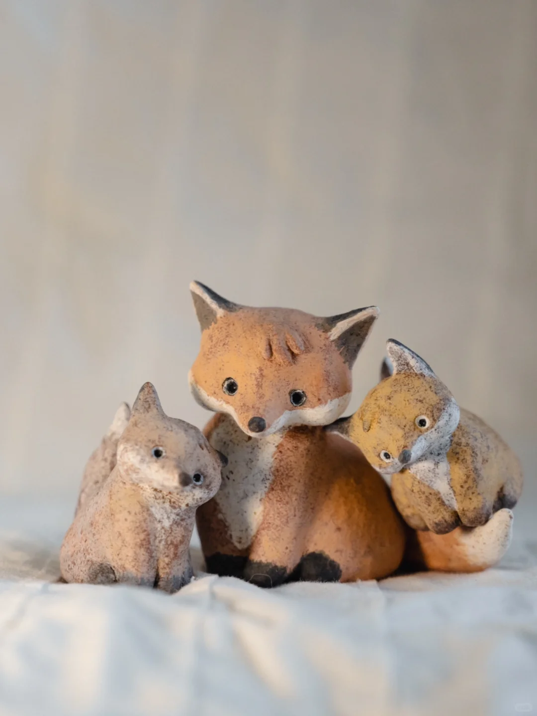 自己拍的小狐狸过于难看被朋友狂卷一顿