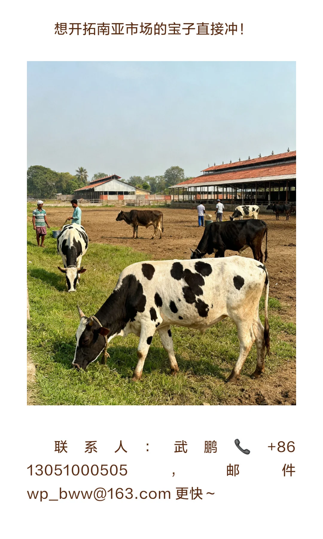 ?2026 孟加拉畜牧展攻略！32 亿美元兽药市