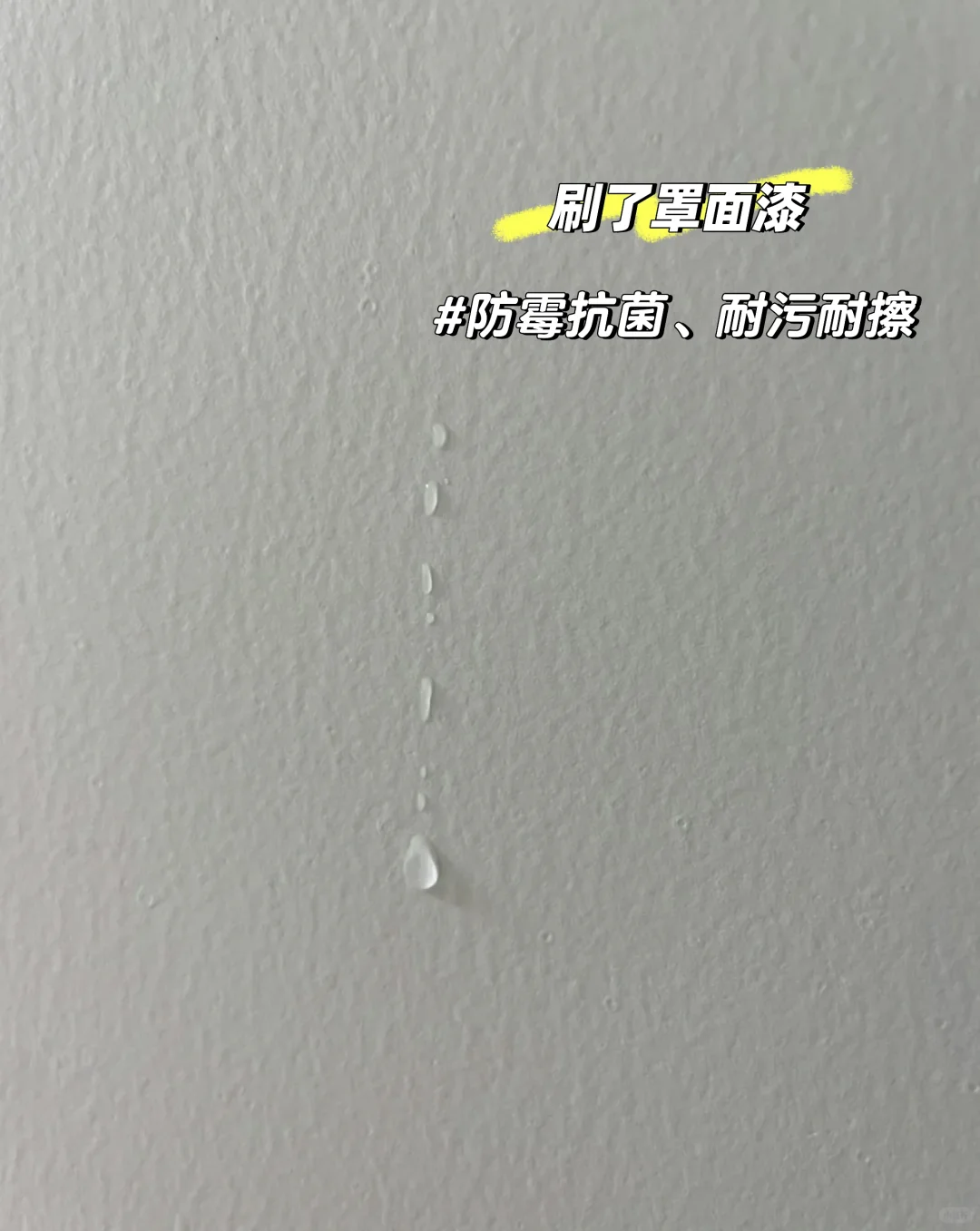 梅雨季救星来了