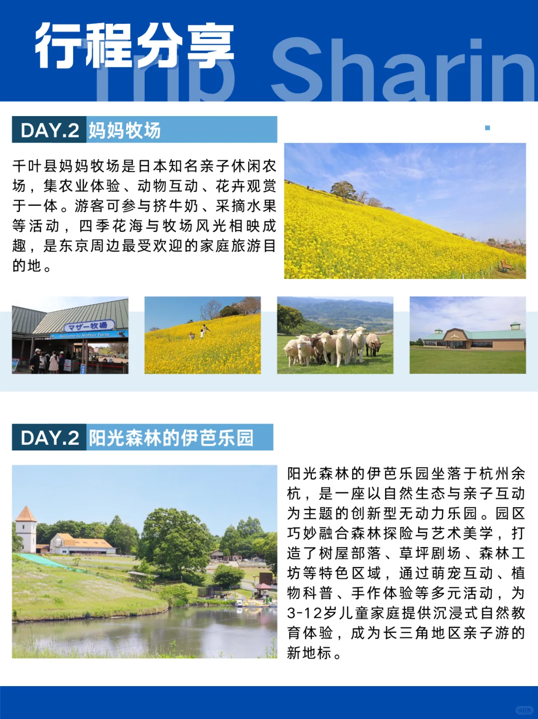 日本牧业考察 | 自然×文化×农业之行