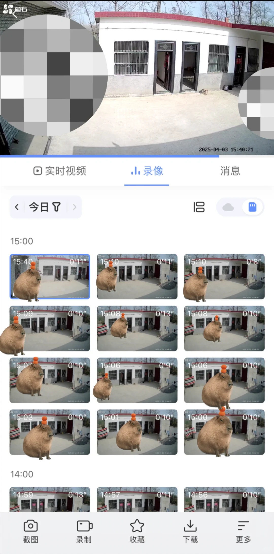 农村室外摄像头 后悔买晚了