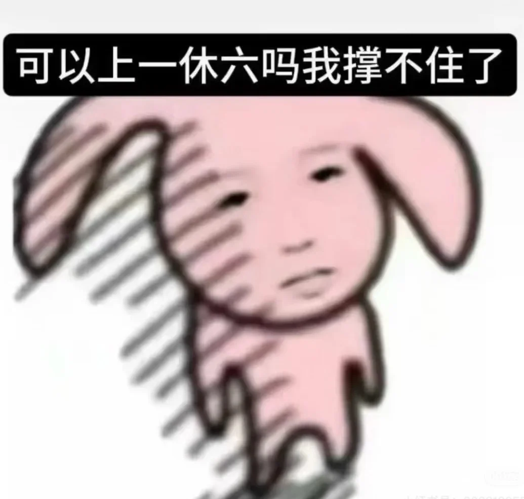 日照有小姐姐找工作吗