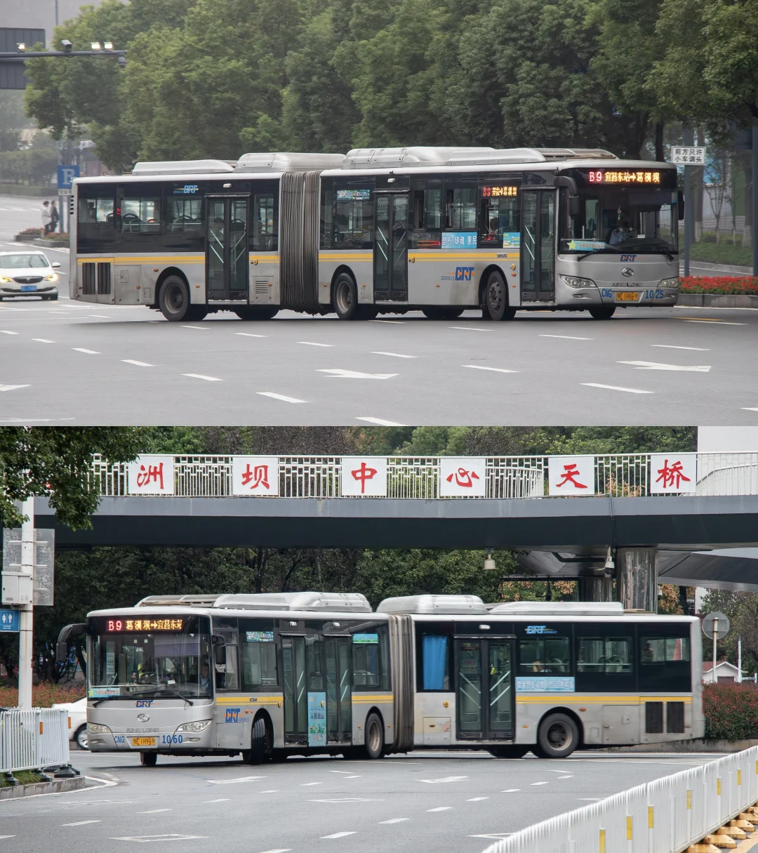 宜昌BRT——暮年CNG铰接 金龙宇通都精彩