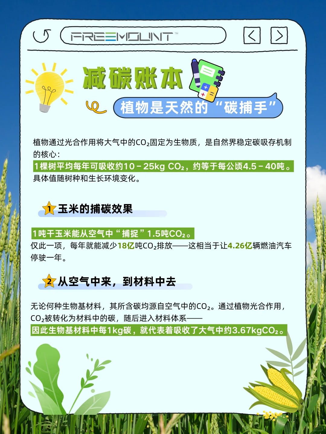 ?生物基,让植物成为生活的“新原料”