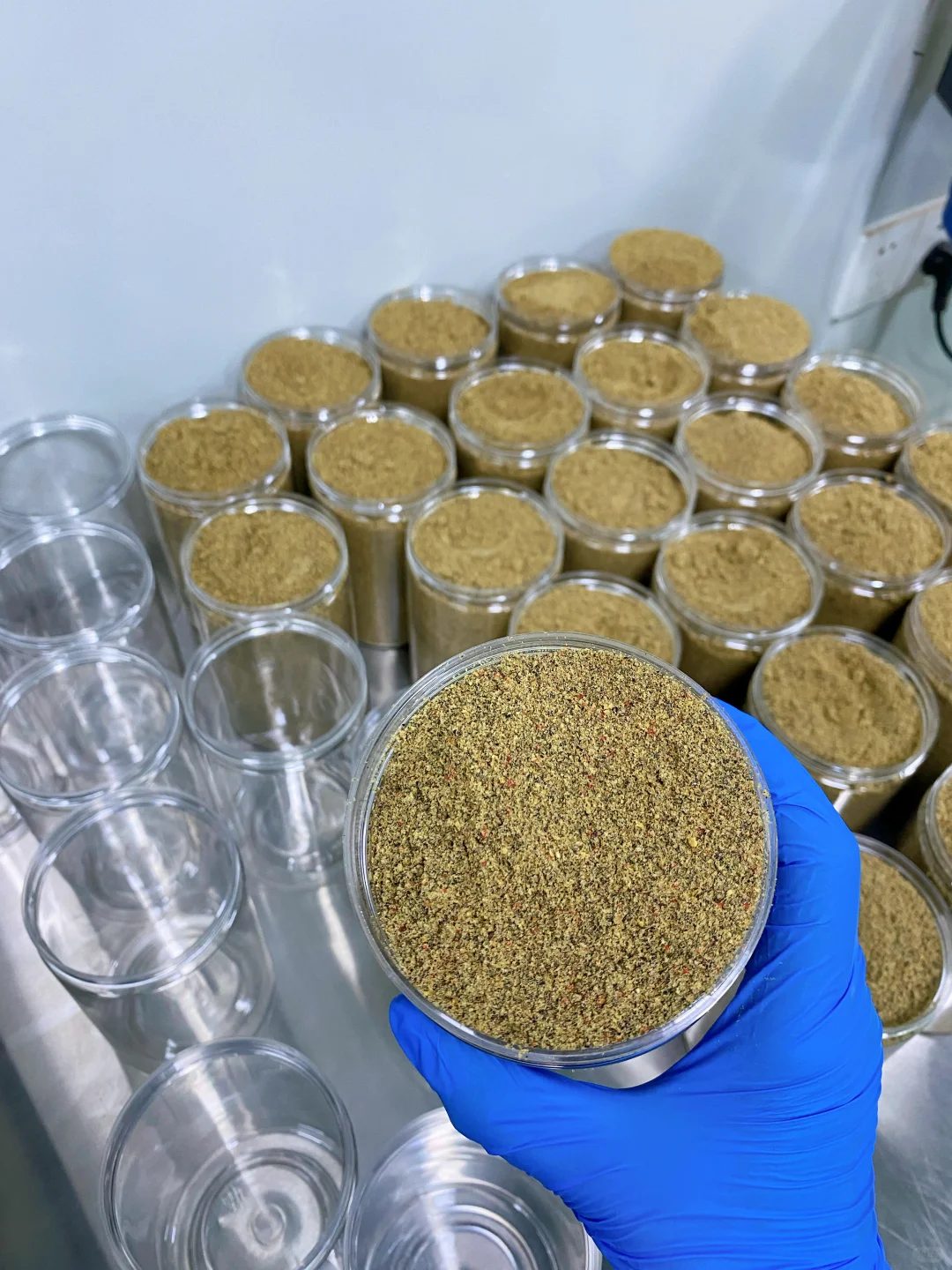 姐妹三无养雌粉吃多了‼️真的越养越像大妈