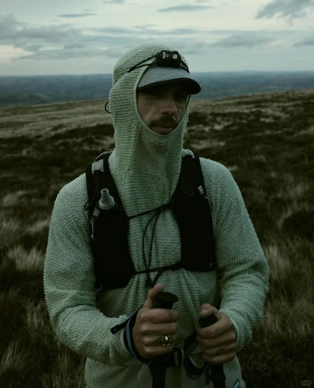 来自 Senchi Designs 的自然见解?