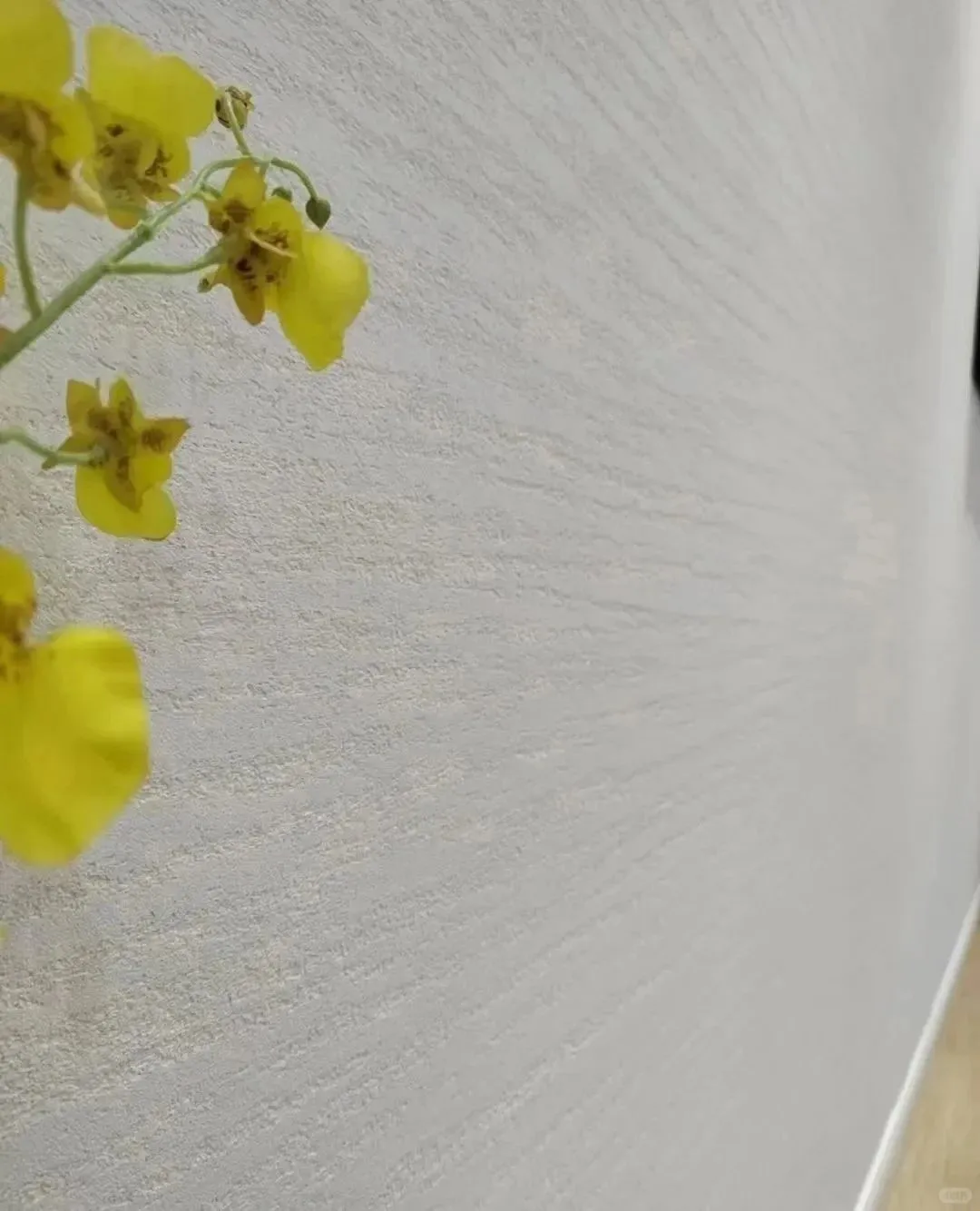 马斯柯矿物漆:健康家居的色彩盛宴