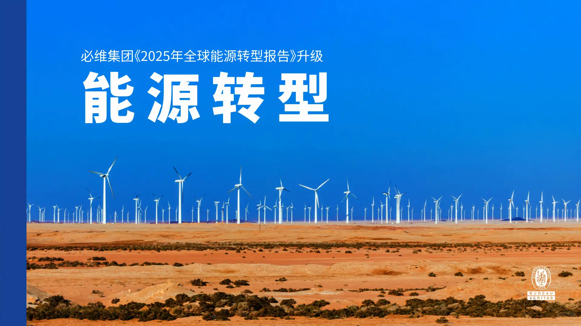 2025年全球能源转型报告