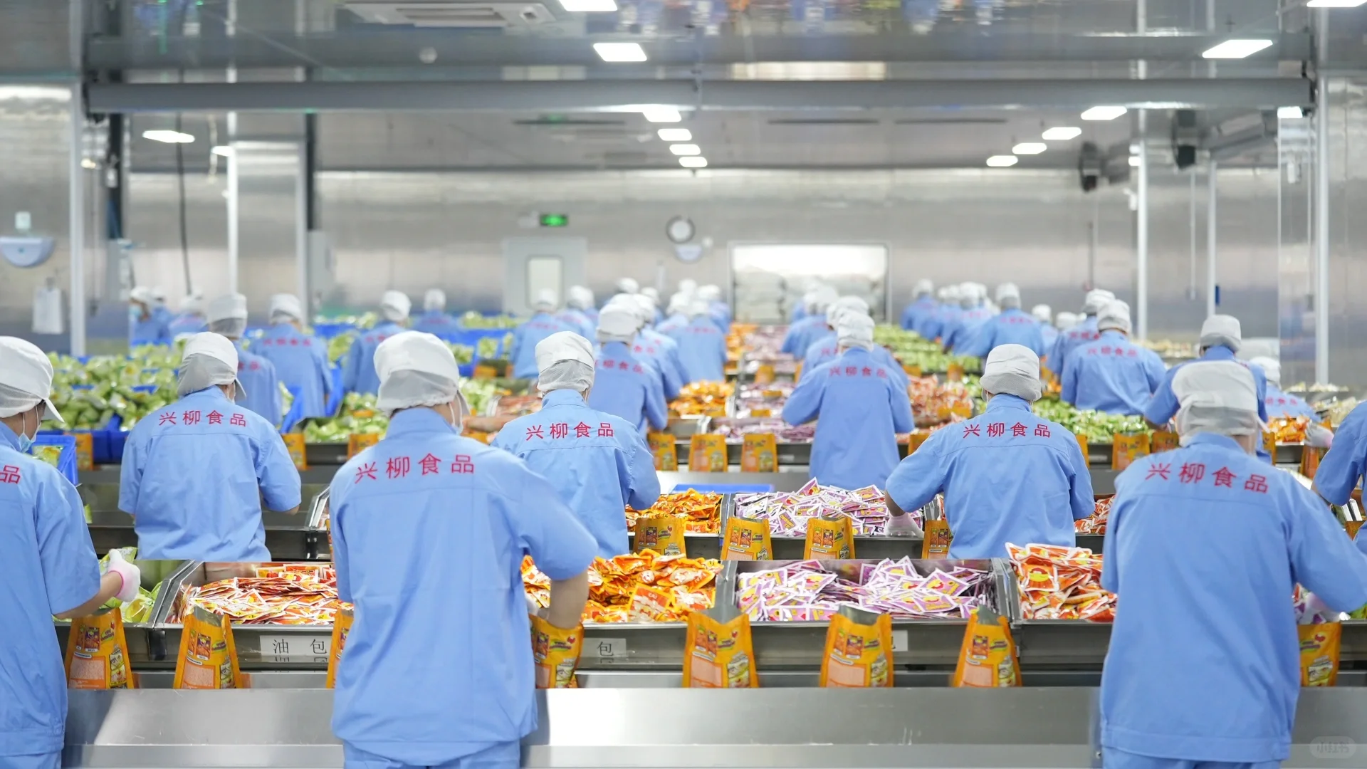 分享一个冷知识 原来螺蛳粉工厂长这样