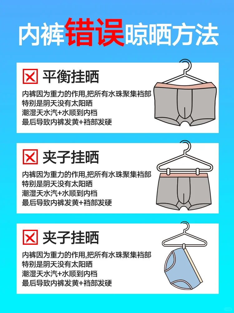 小课堂 | 为什么晒干的苦茶子总是硬梆梆的