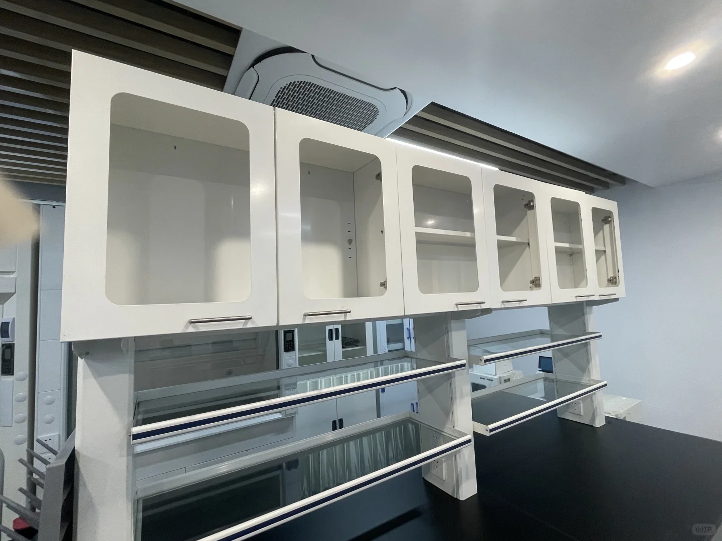 来看看这些实验室的“工作伙伴”们吧～