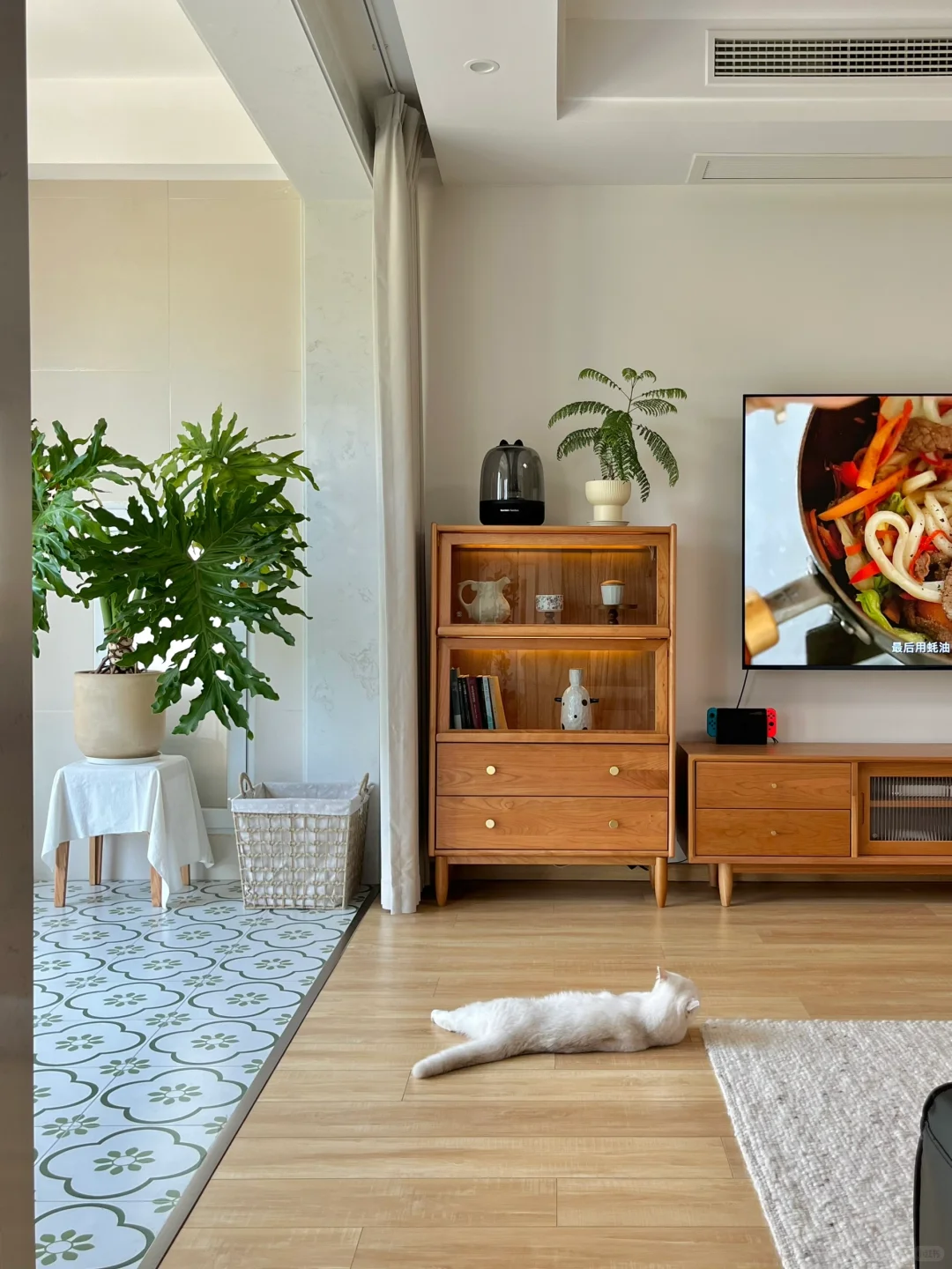 我那110平明亮通透，越住越爱的家✨