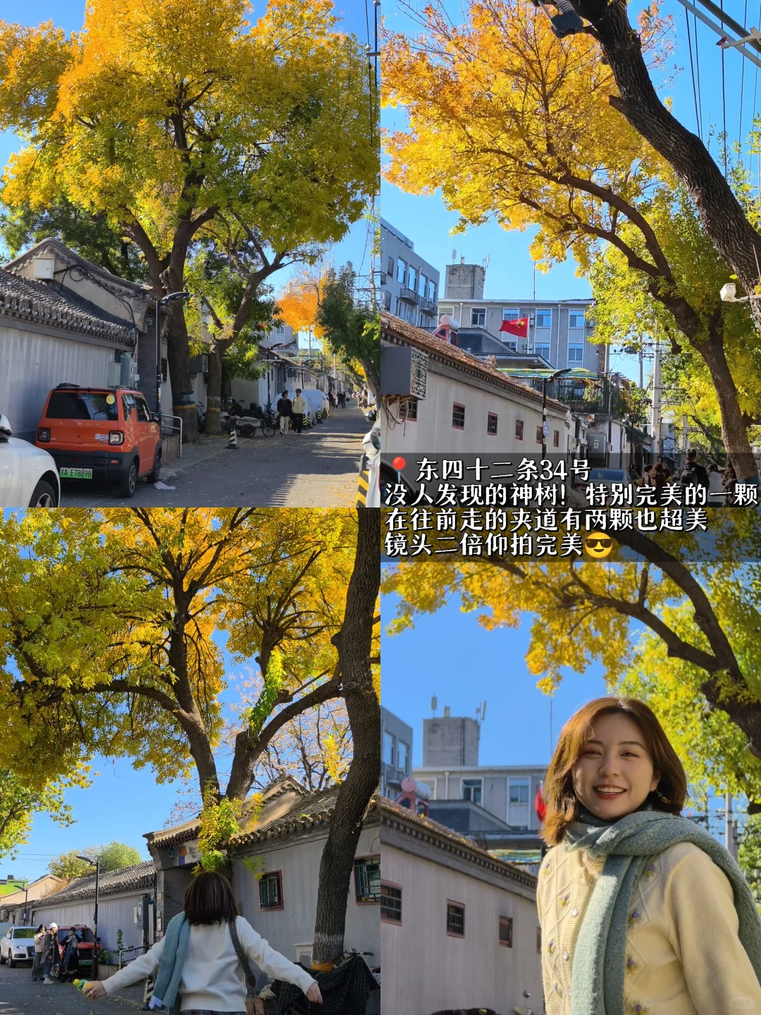10.26实拍‼️北京5️⃣个人少落叶绝美胡同