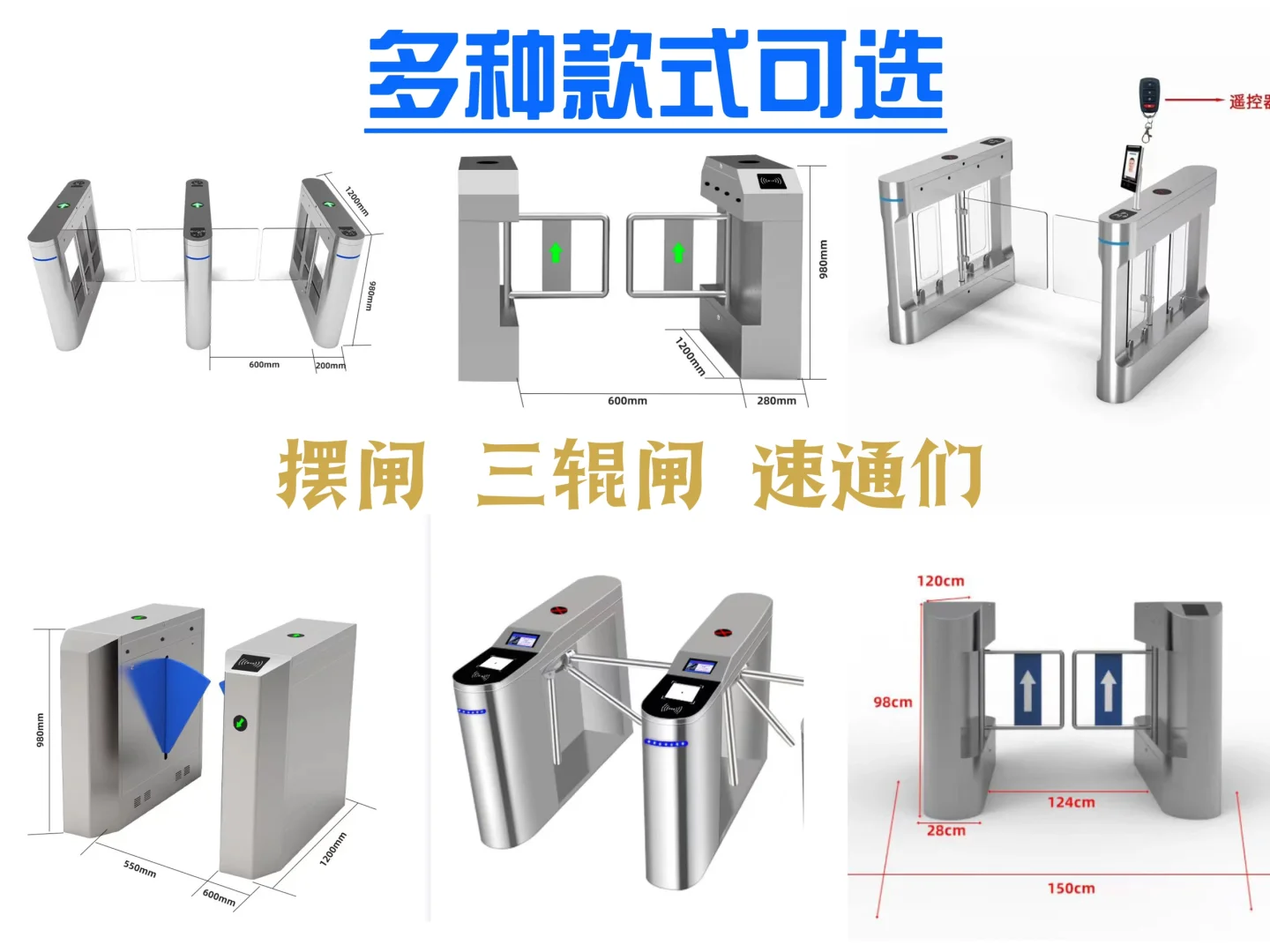 摆闸人行通道闸门