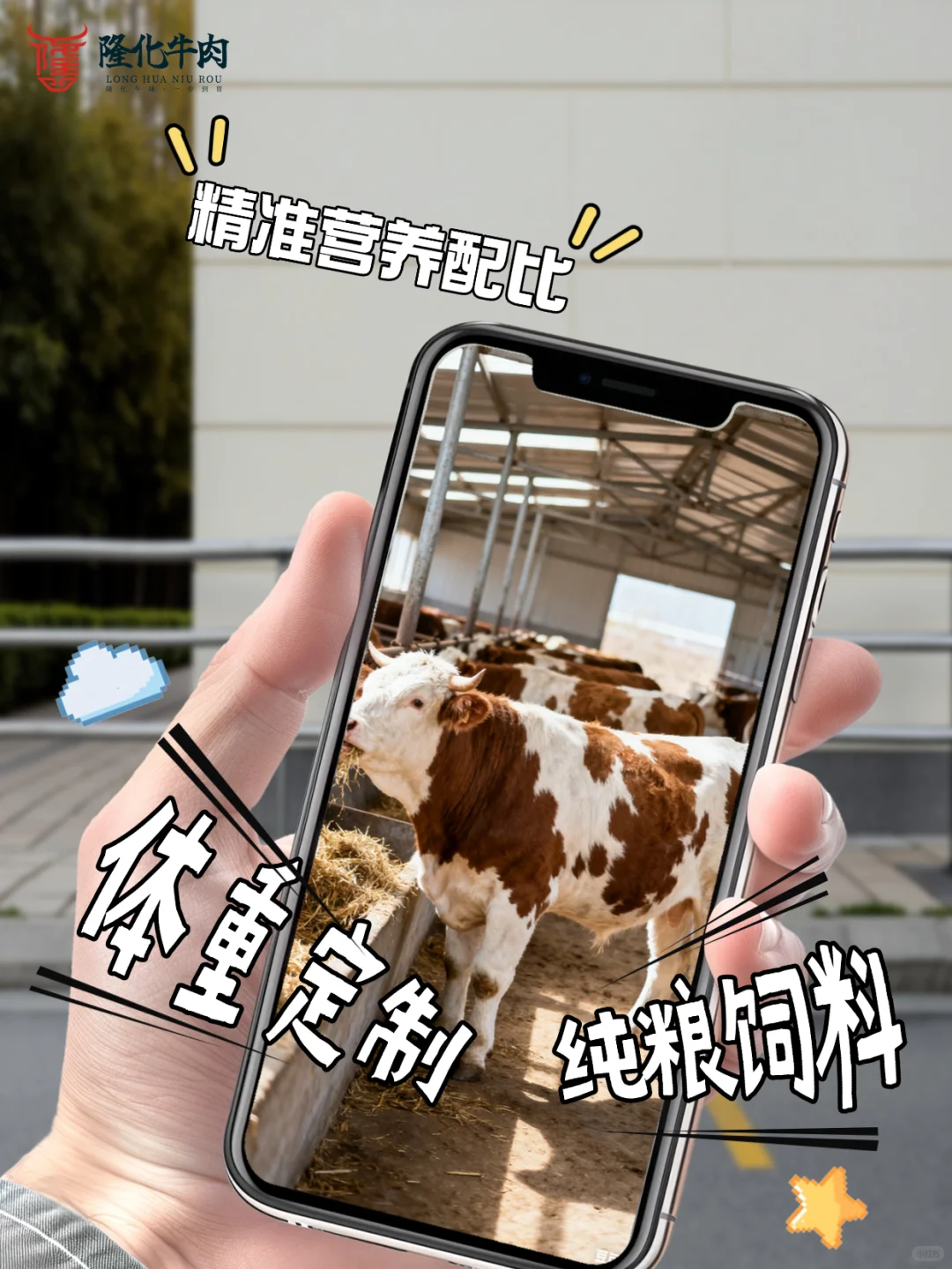 左滑，看隆化牛肉的