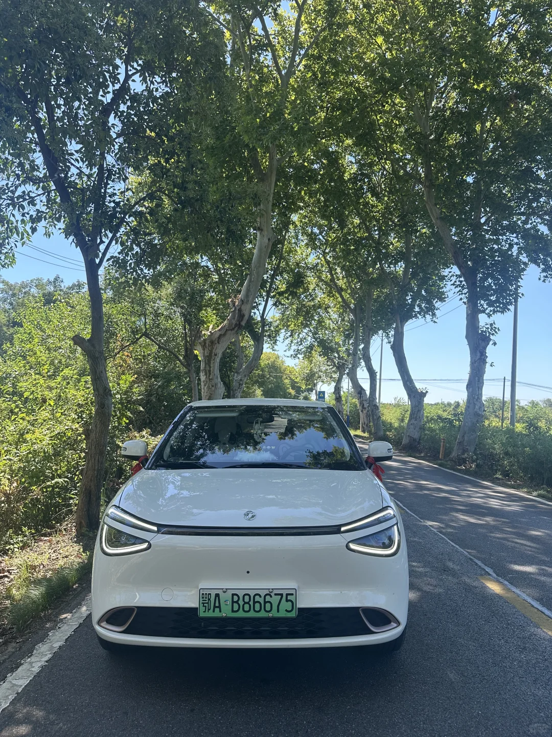 闭眼入不踩坑！纳米01商城活动合集