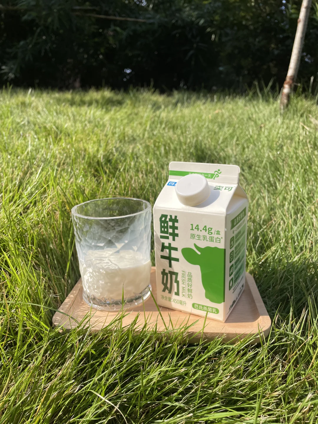 卖可鲜牛奶，开启活力“B”计划