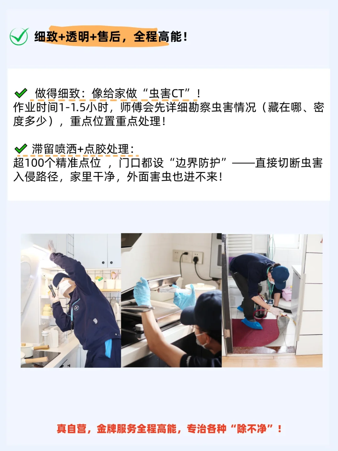 虫虫拜拜：真正的除虫界 “六边形战士”！