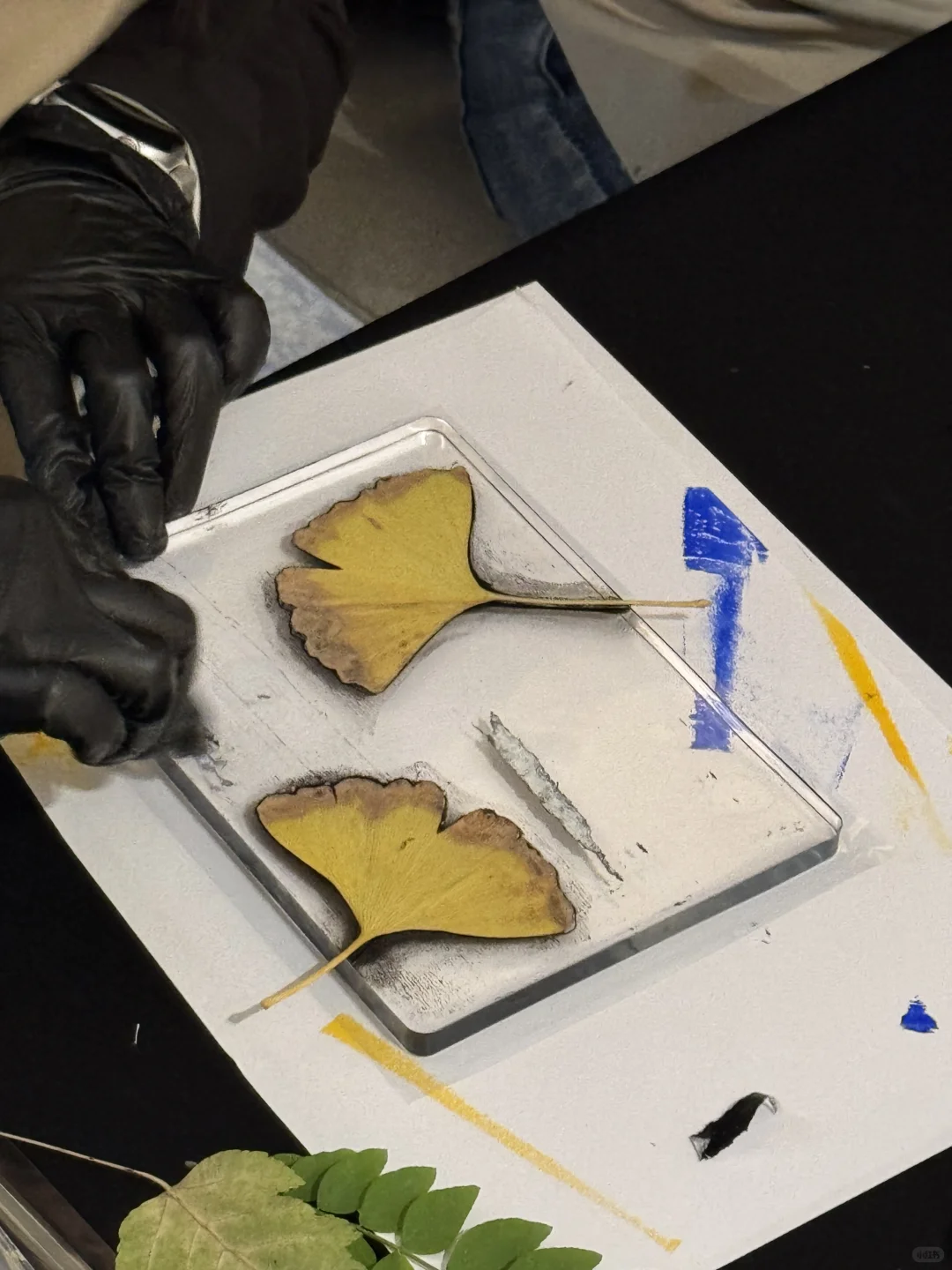 在太古里之夜活动，用凝胶版画做挂布