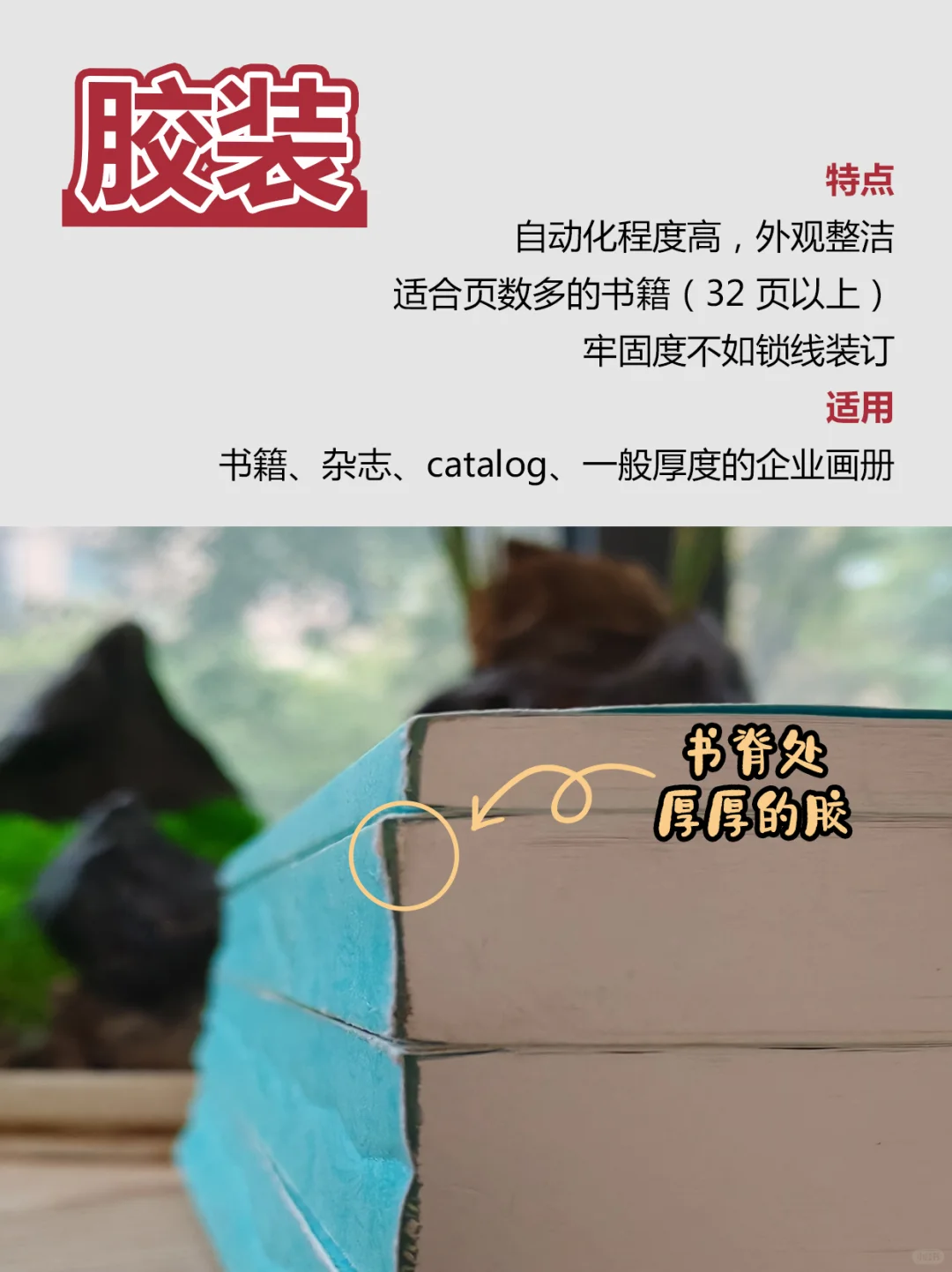 印刷画册必看!6 种装订方式不踩坑!