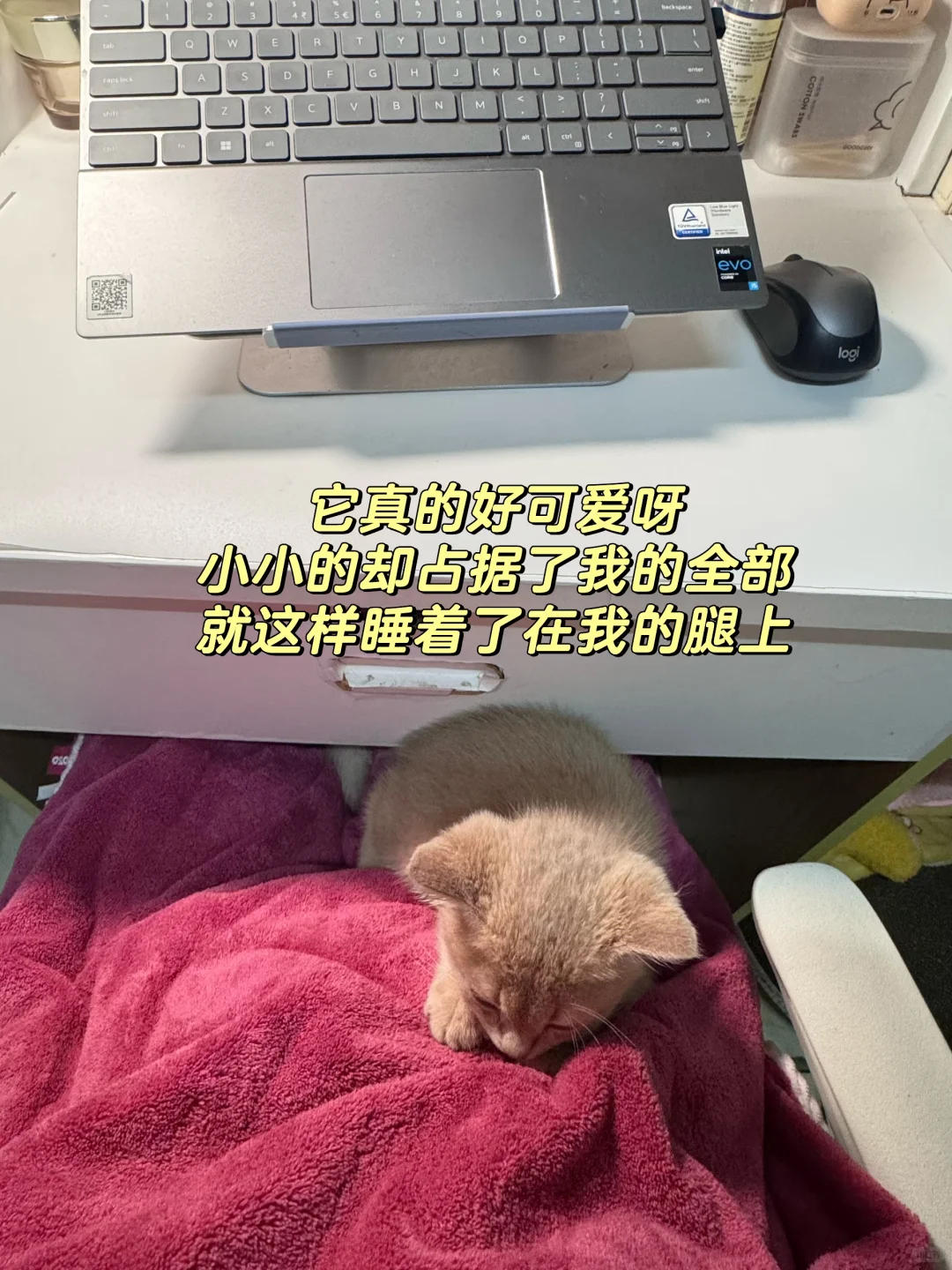 实验员日常|实验室新设备到货,下班吃火锅