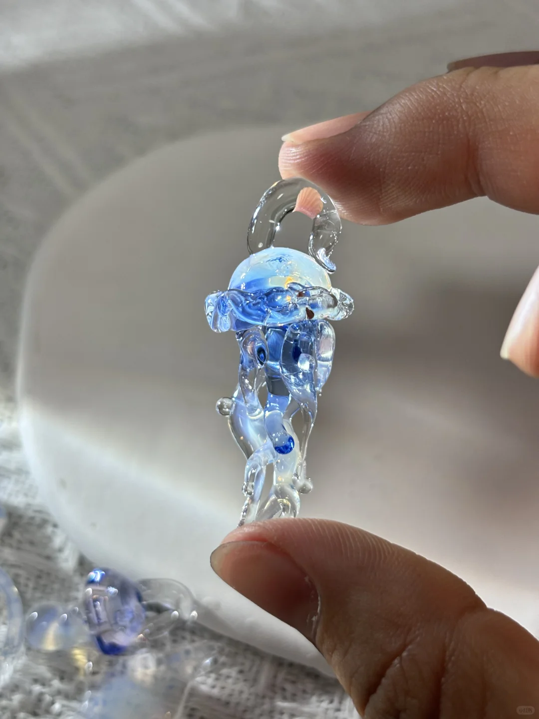 拍到了 我拍到了！！