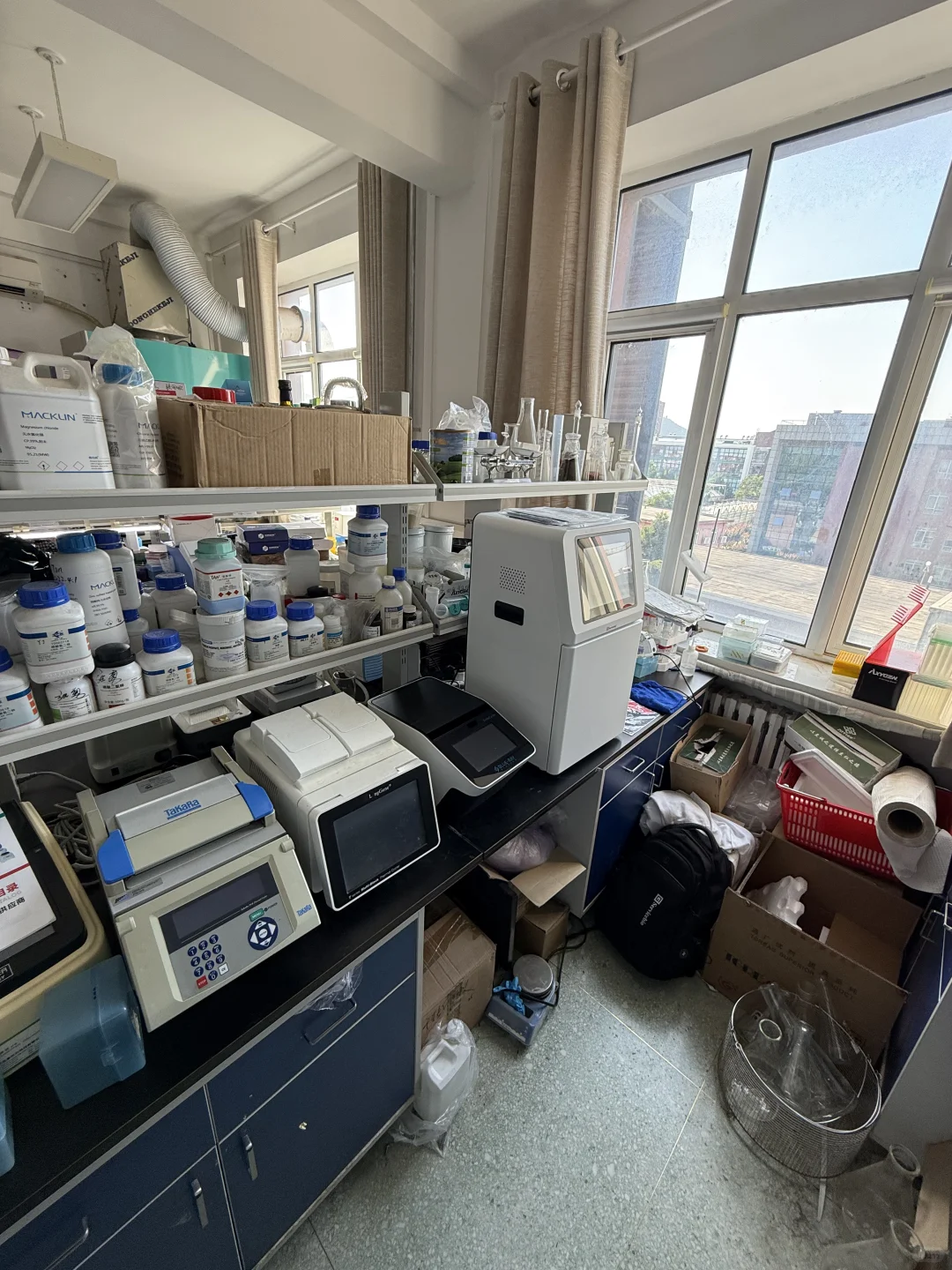 WB化学发光成像仪